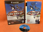 Mat Hoffman's Pro BMX 2