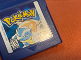 Pokemon Blue Version- Saves